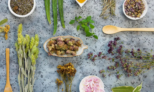 ״צמחי מרפא״ - חשוב לדעת